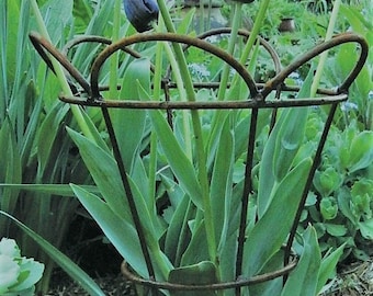 Tulip basket plant support