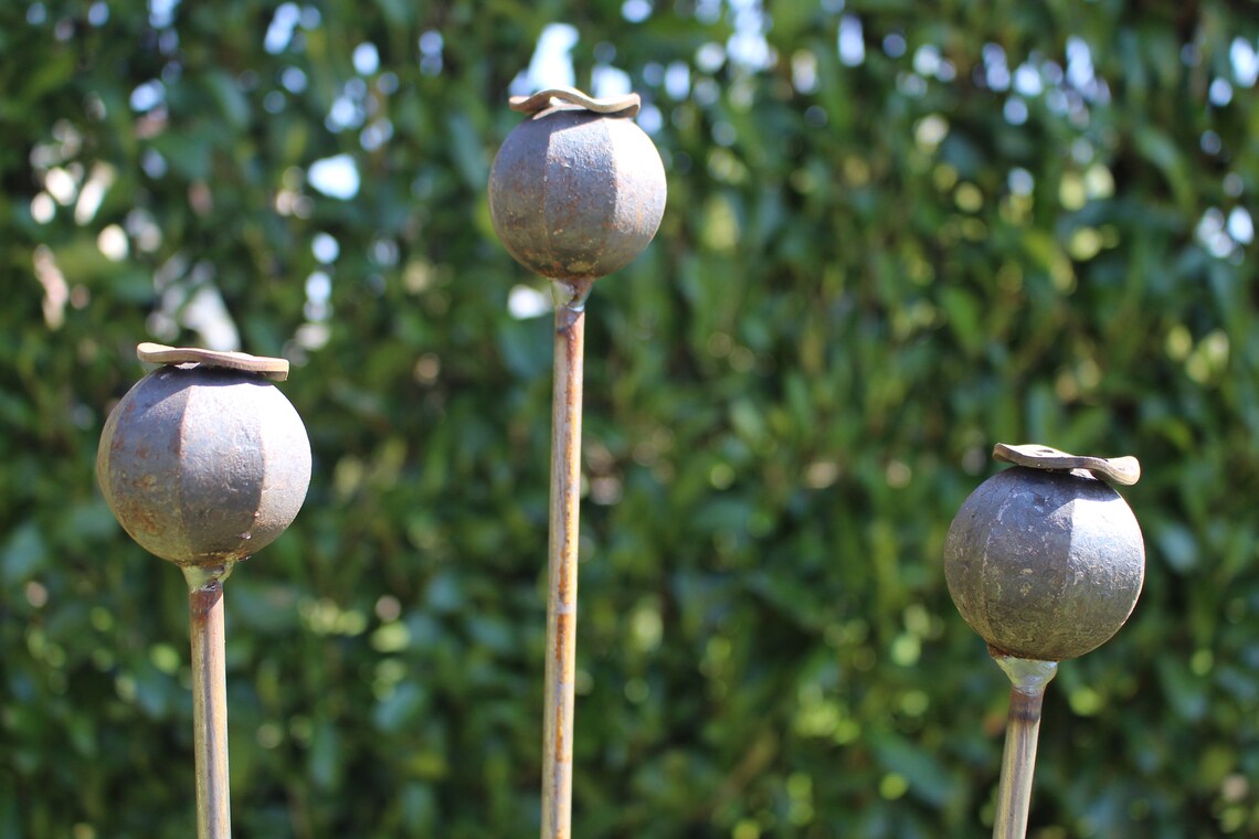 Set of 3 Poppy Seed Head Plant Stakes/supports Etsy UK
