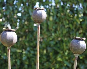 Set of 3 poppy seed head - Plant stakes/supports