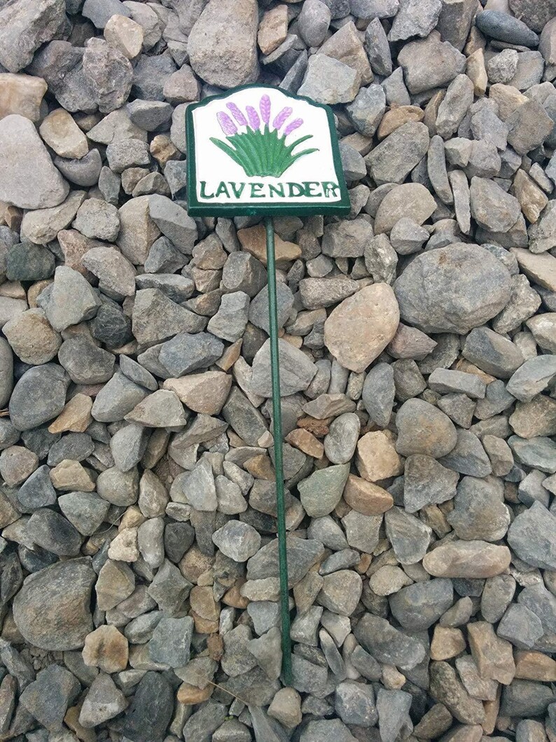 Herb Markers X 12 Cast Iron Garden Plaques on Stakes Hand Etsy UK