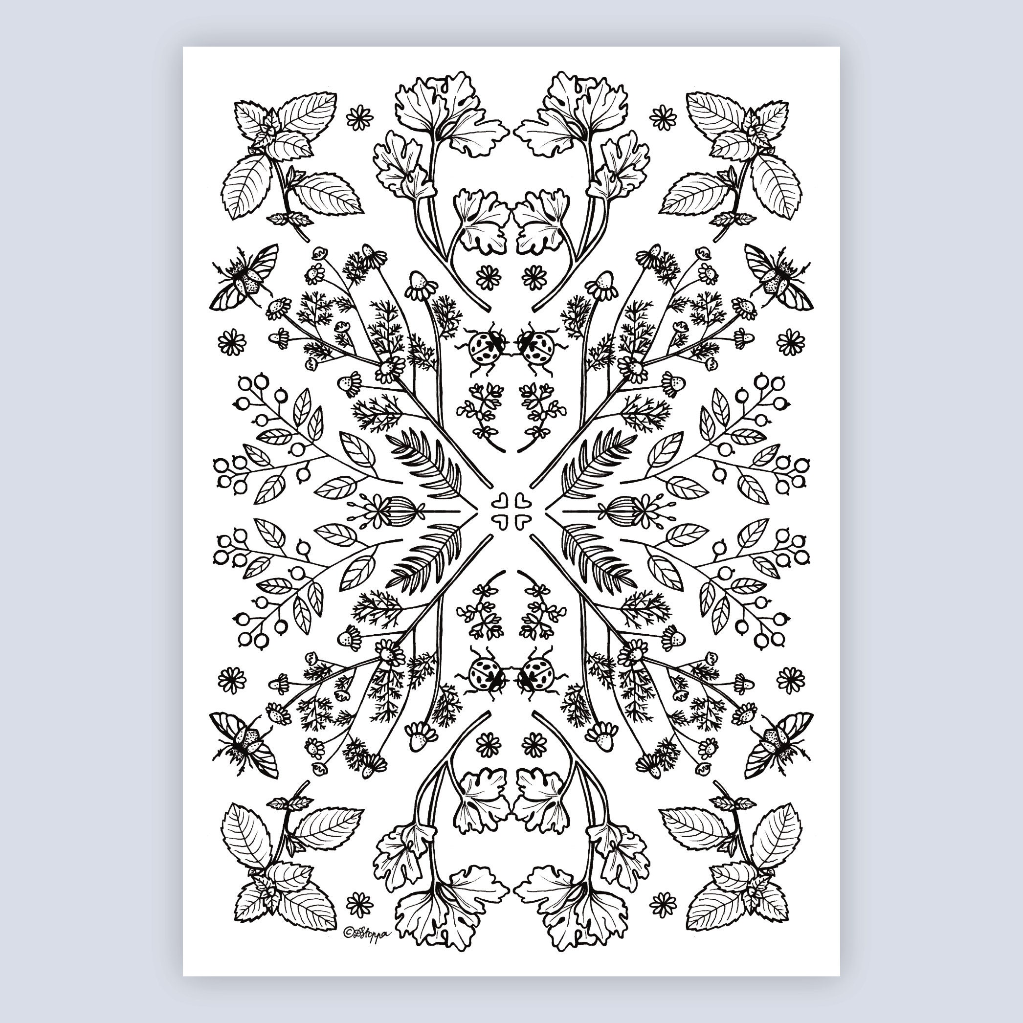 Adult Coloring Book Printable Botanical Prints Botanical | Etsy