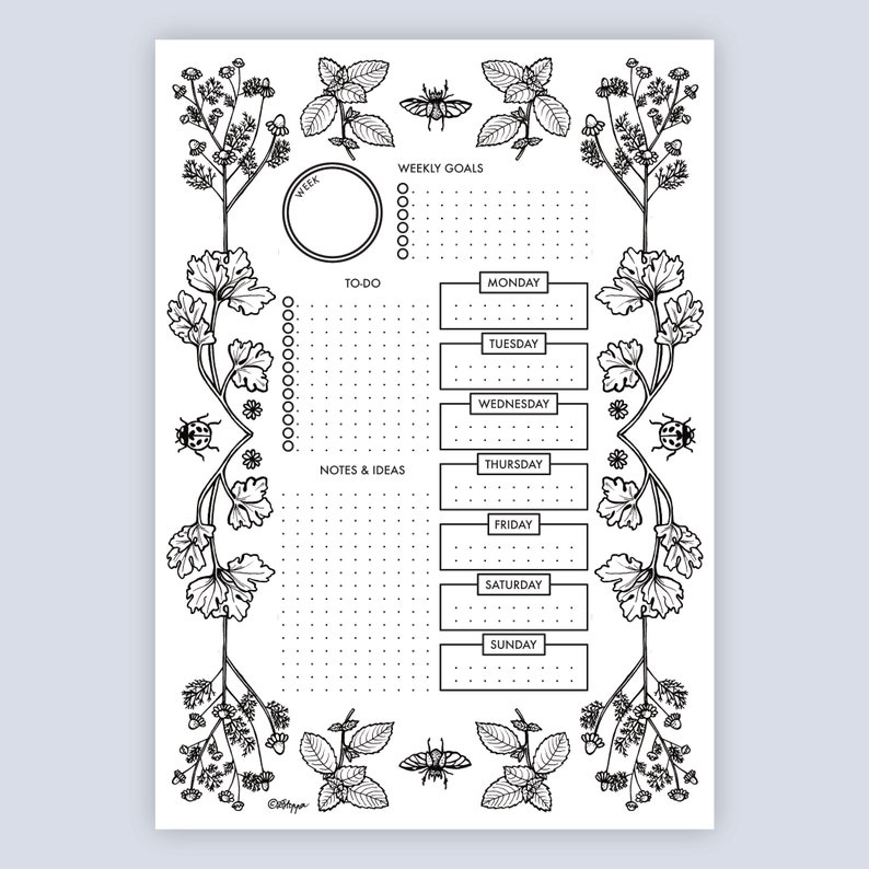 Daily Planner & Weekly Planner Printable Planner Bundle - Etsy