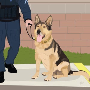 May include: An illustration of a German Shepherd dog wearing a collar that says "Bak". The dog is sitting on a sidewalk next to a person in a blue uniform. The dog has tan, black, and brown fur.