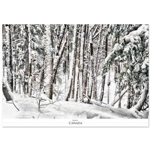 Stampa fotografica artistica di Quebec Winter Snow - Foresta magica, neve bianca - Decorazione di qualità Giclée - Arte murale