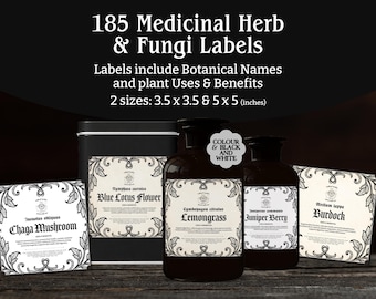 Apothecary Medicinal Dried Herb and Medicinal Mushroom Labels Vintage Botanical Jar Labels Old World Witchy Herbal Storage Printable Set
