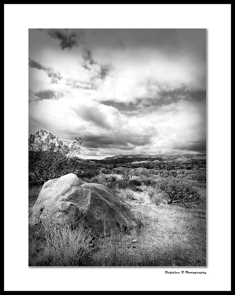 3 piece wall art black & white desert picture Joshua tree | Etsy