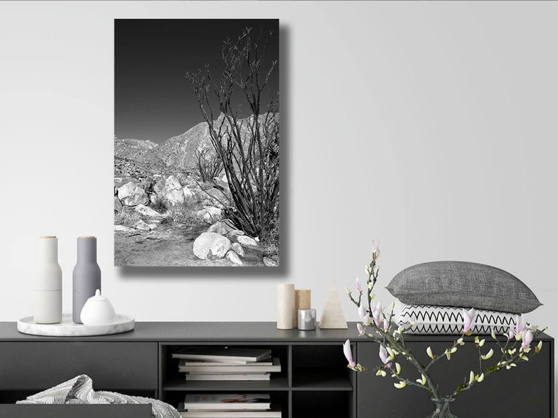 Majestic Ocotillo Desert vintage print Western landscape black and white print desert wonderland desert landscape vintage cowboy print