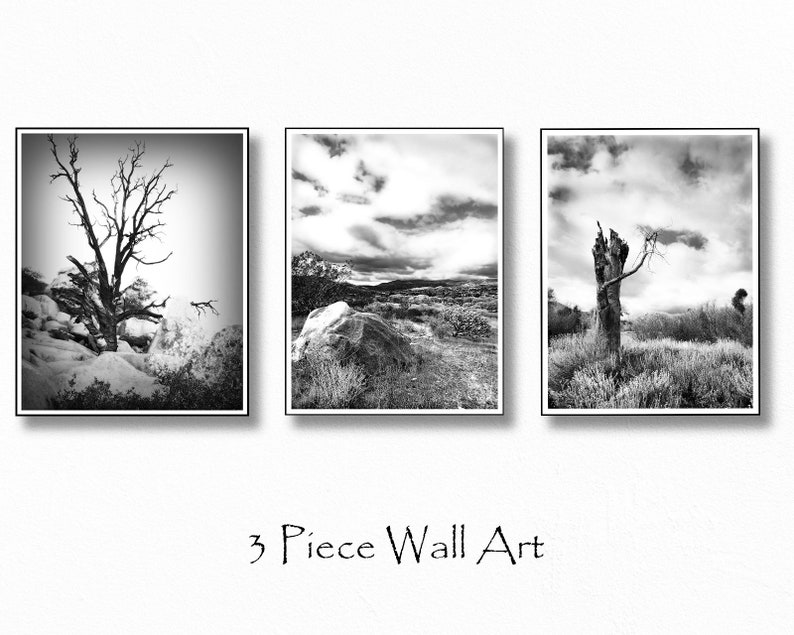 3 piece wall art black & white desert picture Joshua tree | Etsy
