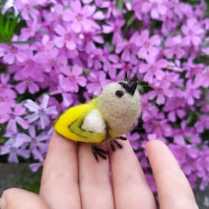 Tiny Bird, Needle Felted Bird, miniature bird, bird decoration, bird lovers gift, needle felted animal, christmas decor