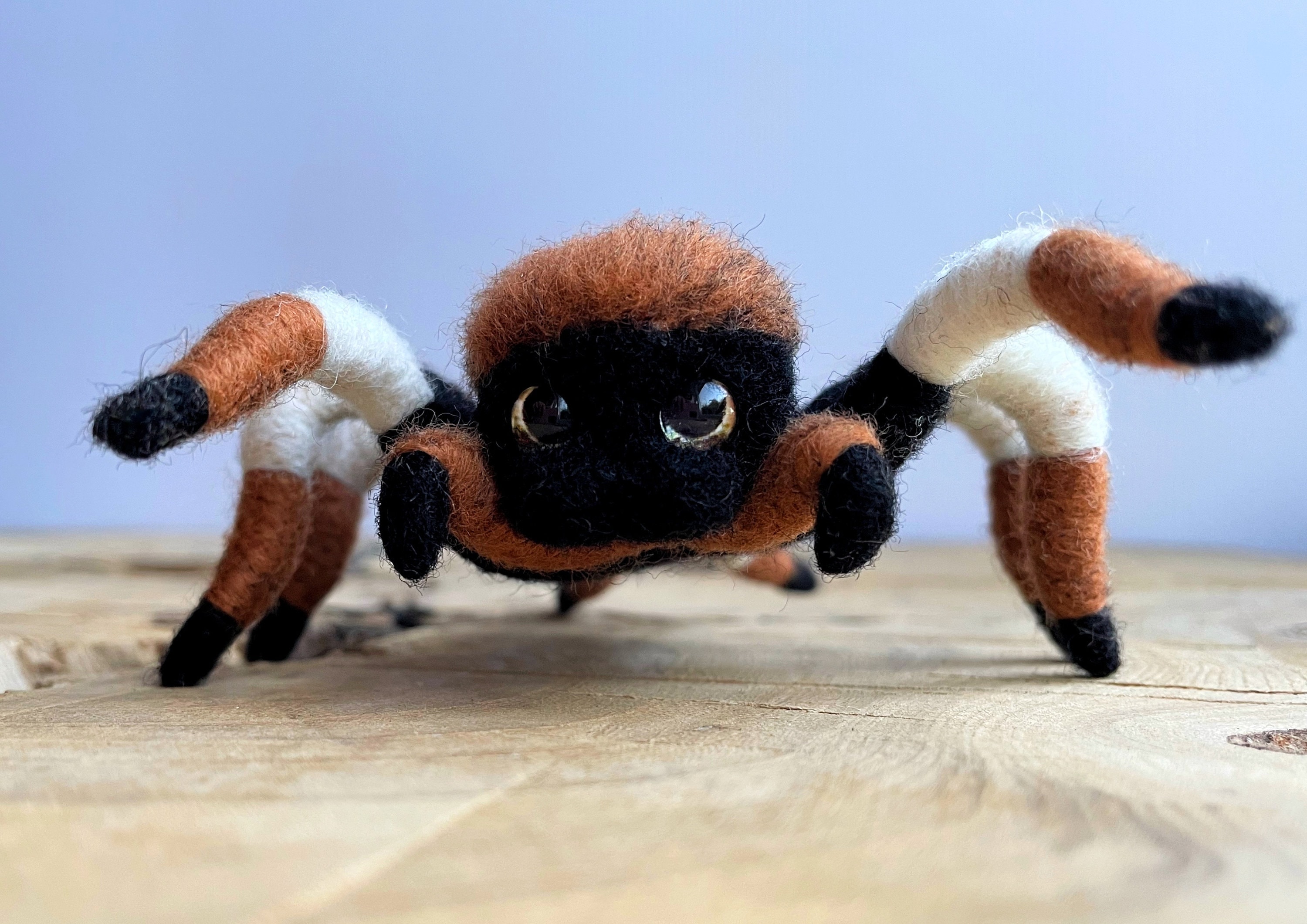Needle felted spider tarantula, Wool spider, Felted spider, Realistic spider, miniature animal, Home decor, natural toy, Sculpture, Gift
