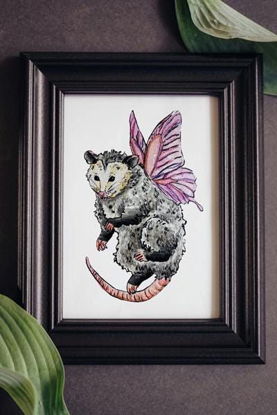 Caring for Possums [ペーパーバック] Smith， Barbara Amazon.com: NIWAHO Personalized Virginia Opossum Memorial