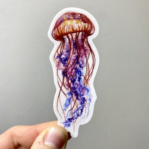 Jellyfish Vinyl Sticker - waterproof decal, jelly art, jellyfish sticker, ocean artwork, nautical sticker, sea creature painting, watercolor