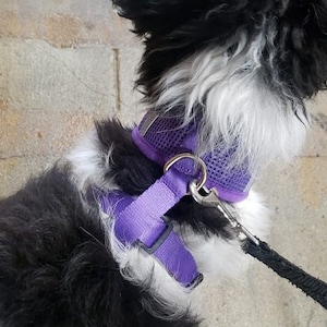 Pet Vest Dog Harness, Small Breeds Minis Puppies Sizes XS-XL, In Eight Different Colors for All Ty Dogs, Breathable Material And Adjustable