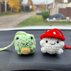Frosch und Pilz aus dem Auto