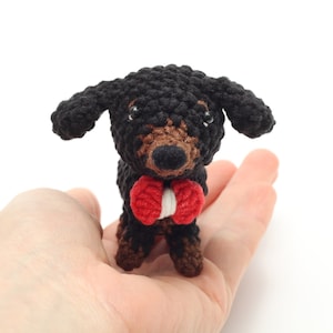 Niedlicher Dackel Hund Miniatur
