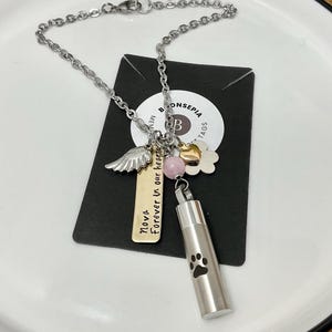 MAISY 2.0 with brass rectangle Car Rear view mirror Memorial for PET, dog or cat Hanging Cremation Ashes Urn Cat Dog, gift Engraved