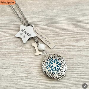 Peut inclure: Un collier argenté avec un pendentif en forme d'étoile gravé "Rocco" et des cœurs, une étiquette rectangulaire avec "Best dog EVER", un charm en forme d'os, une perle blanche et un médaillon filigrané avec un intérieur bleu.
