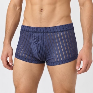 May include: A pair of navy blue boxer briefs featuring a semi-sheer, vertical striped pattern with a subtle, repeating floral motif integrated into the fabric. The garment has a fitted silhouette with a reinforced waistband and a contoured front pouch.