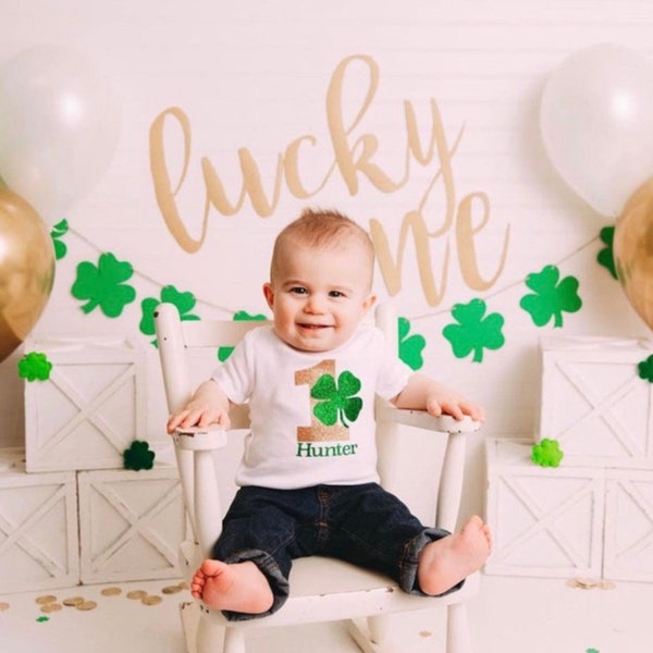 St Patrick's Day First Birthday bodysuit- 1st Birthday/Shamrock Theme/First Birthday Tshirt/CakeSmash/St Patrick's theme/Boy/Girl: Lucky one