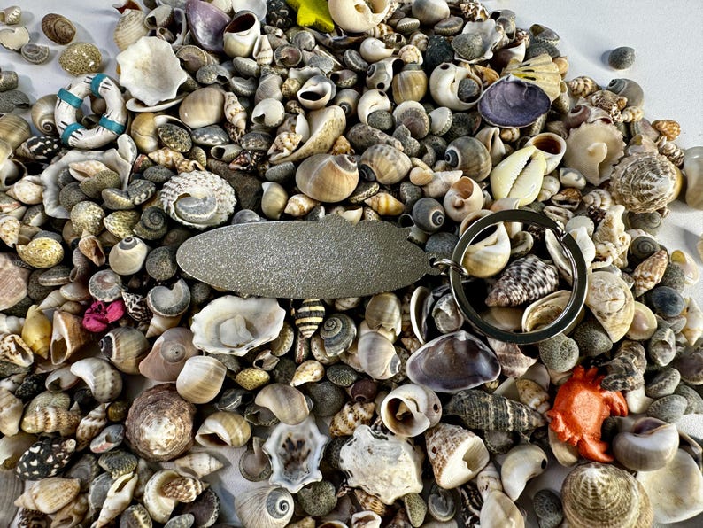 May include: A silver-colored key chain with a surfboard-shaped charm. The charm is surrounded by a variety of small seashells in various colors and textures.