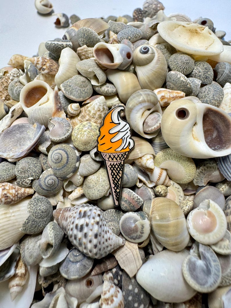 Op de afbeelding: Een close-up van een oranje en witte emaille pin in de vorm van een ijshoorn. De pin is omringd door verschillende schelpen.