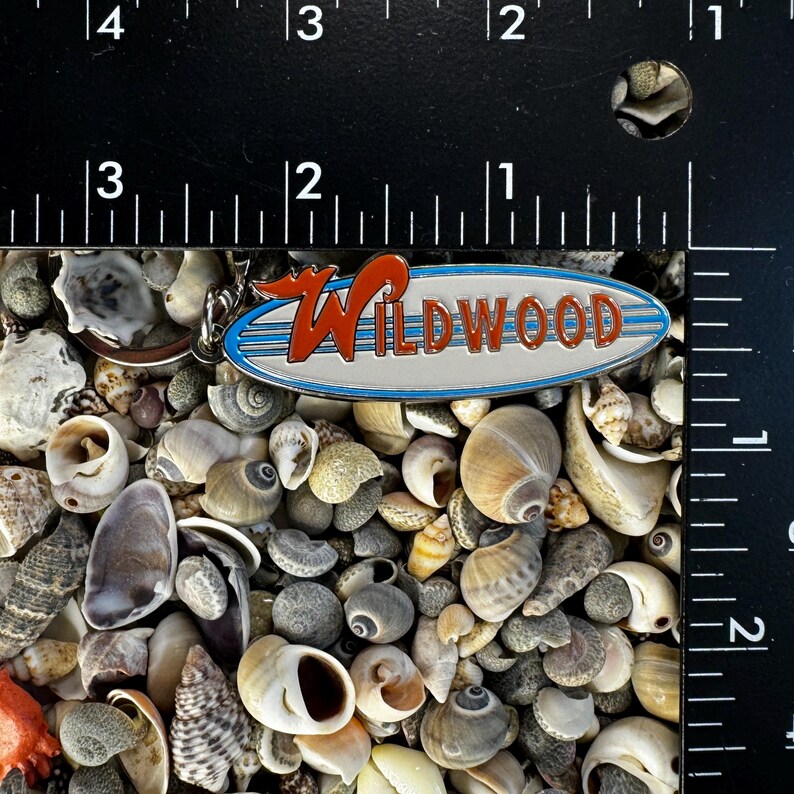 May include: A silver and blue key chain with a white oval shaped tag that says "WILDWOOD" in red letters. The tag has three blue stripes on it.