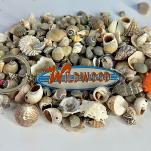 May include: A silver key chain with a surfboard-shaped charm that says "WILDWOOD" in orange letters on a white background with blue stripes. The charm is surrounded by a pile of seashells.