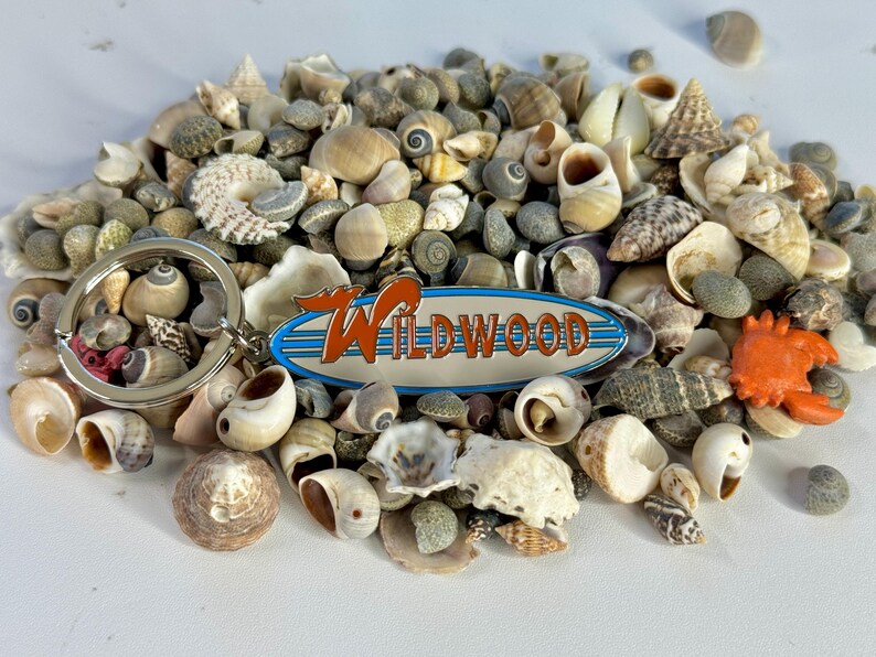 May include: A silver key chain with a surfboard-shaped charm that says "WILDWOOD" in orange letters on a white background with blue stripes. The charm is surrounded by a pile of seashells.