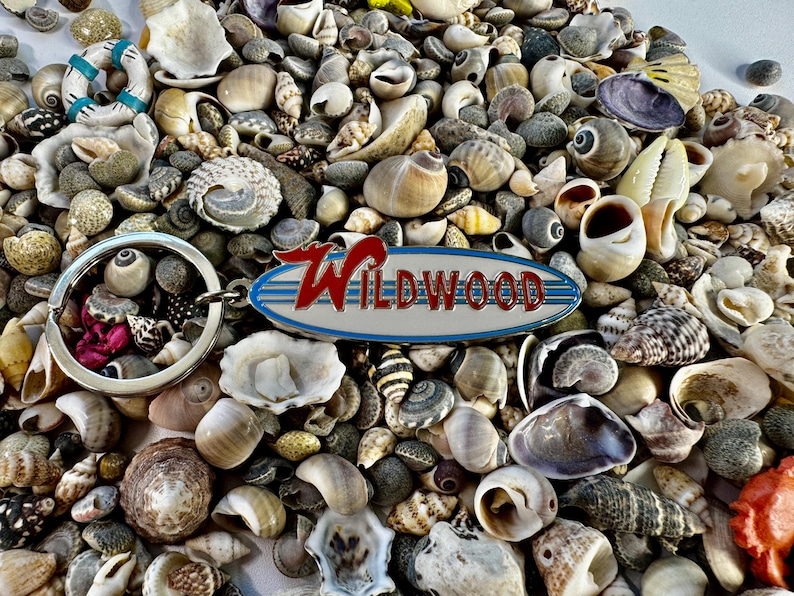 May include: A silver key chain with a blue and white surfboard charm that says "Wildwood" in red letters. The charm is surrounded by a variety of seashells.