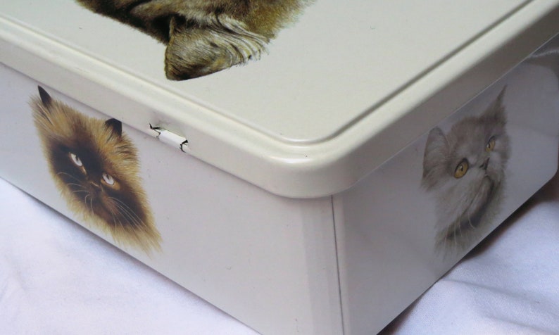 Vintage cat tin by Merline Rectangular metal box made for Marlex International Massilly France 1984