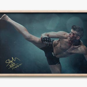 Stephen Thompson "Wonderboy" - photo print poster - pre signed