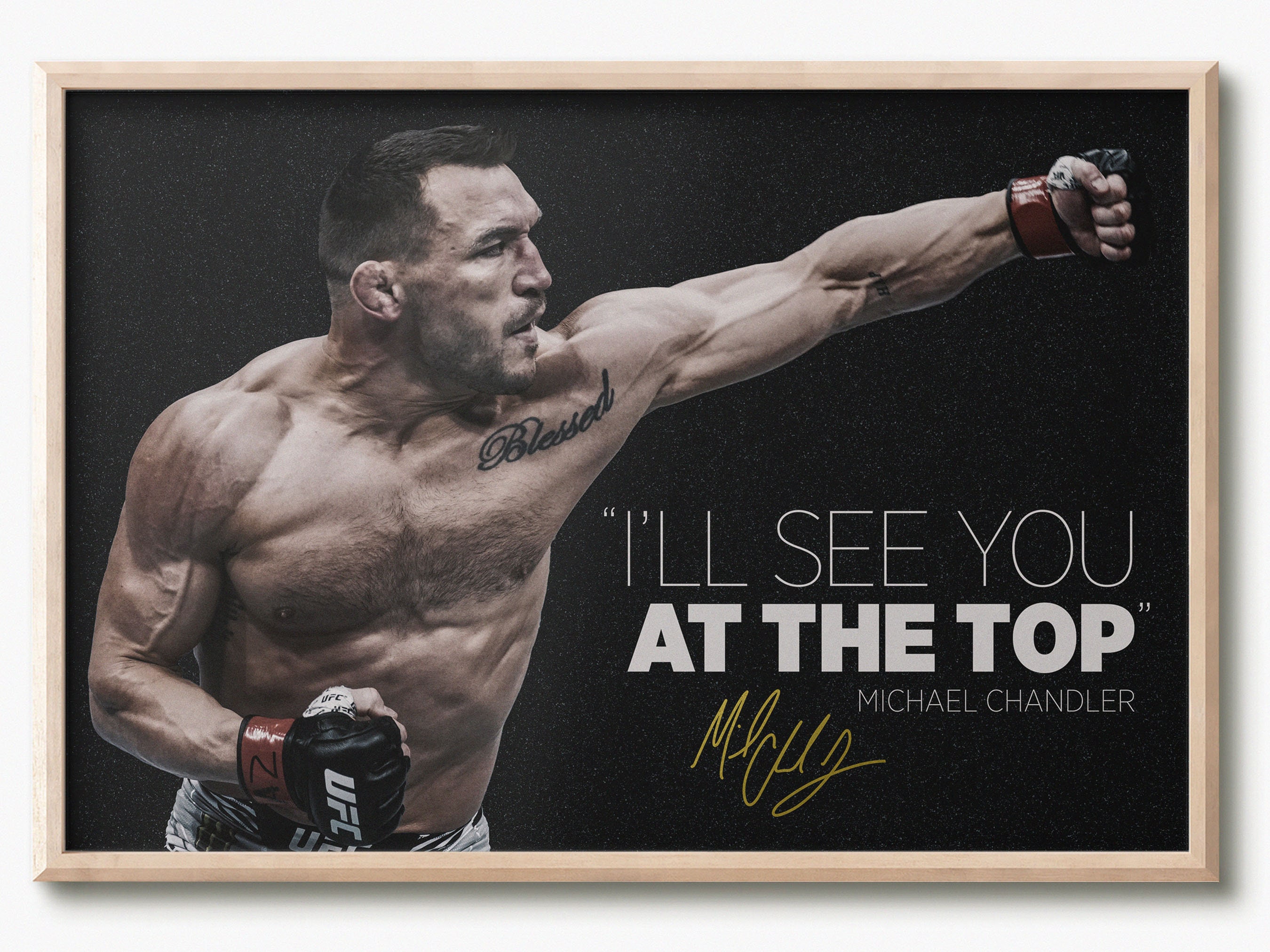 マイケルチャンドラー メモラビリアサインカード UFCカード