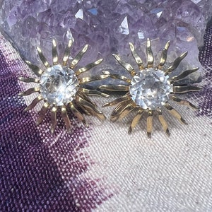 Vintage Sara Coventry earrings