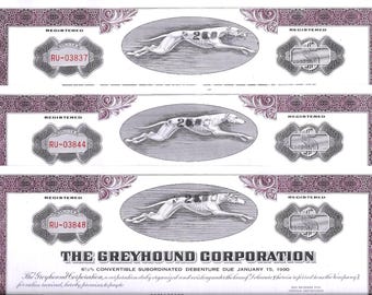 Veel van 3 zeldzame GREYHOUND BONDS uit 1972 van 25.000 dollar Investeringslening Debt Security Collectible Asset @ 7,99!! Meer kleuren beschikbaar! Alleen hier