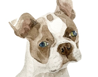 Custom Pet Watercolor Painting