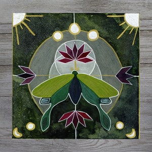 Luna Moth