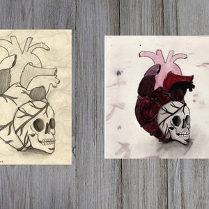 Cuore-Teschio; Udito anatomico; cuore; cranio; acquerello; matita