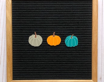 Pumpkin Icons Set Bright, Letterboard Pumpkins, Halloween Letterboard, Thanksgiving Letterboard, Feltboard Pumpkins