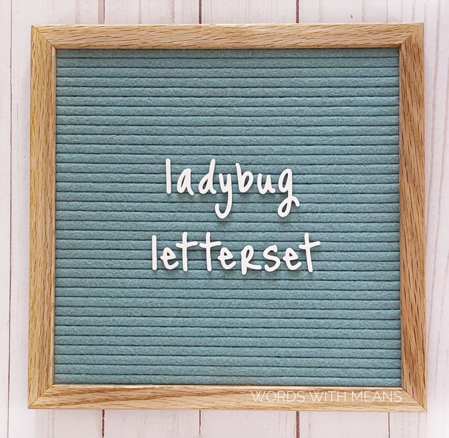 Ladybug Lowercase Letterset, letterboard letters, feltboard letters, letters for letterboard, 3/4 inch letters, letterboard accessories