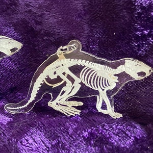 Beaver Skeleton Etching Acrylic Earrings, Animal Boho Earrings, Statement Acrylic Earrings, Drop Earrings, Beaver Jewelry