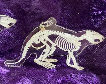 Etched Beaver Skeleton Acrylic Drop Earrings, Animal Jewelry