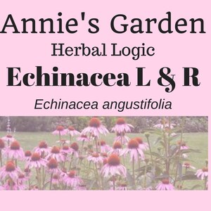 Echinacea Leaf & Root Tincture