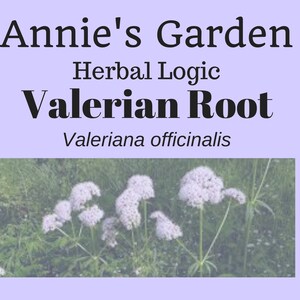Valerian Root Organic Herbal Tincture - Herbal Extract