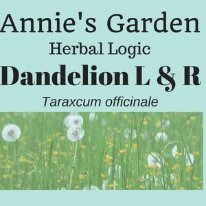 Dandelion Leaf & Root Tincture
