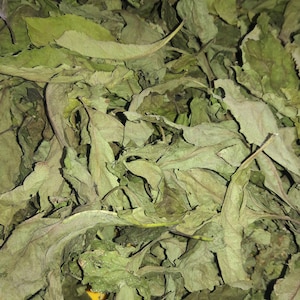 Bitter Leaf (Verona Amygdalina)- Dry. freshly harvested and sun-dried