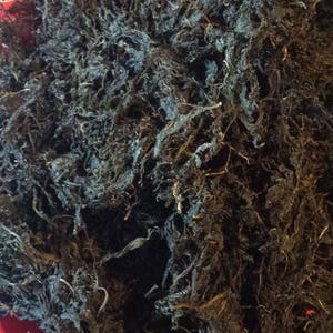 Dried Bitter Leaf (Veronia Amygdalina) - Washed for Soups & Teas