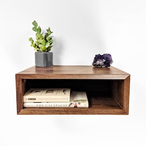 May include: A floating, rectangular wooden shelf with a dark finish. It holds two books, a small potted plant, and a purple crystal. The shelf is mounted on a white wall, creating a minimalist aesthetic. The books are titled "The Origin of Species" and "The Galapagos".