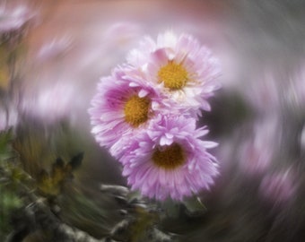 Petzval Helios-44М-4 58 mm F2レンズ、お好みのアダプターでペッツバールスタイルのボケに改造、PETZVAL Swirly Bokeh