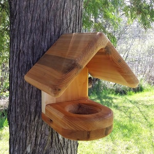 May include: A wooden bird feeder with a roof and a bowl for seeds. The feeder is attached to a tree trunk.