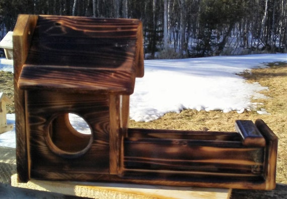 Gallon Glass Jar Squirrel Feeder Cedar Wood Tbnup 1b Etsy